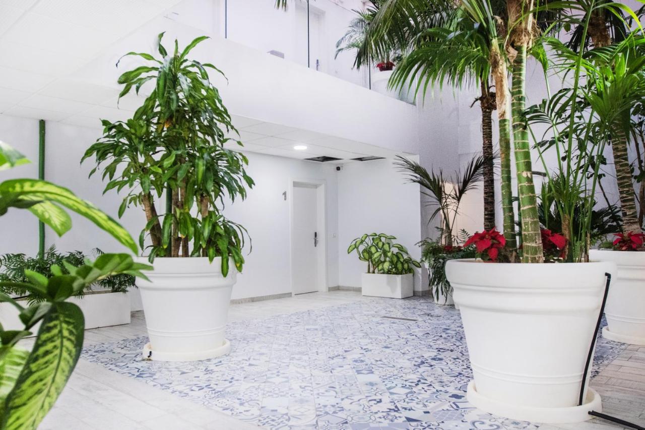 Coccoloba Suites קורלחו מראה חיצוני תמונה