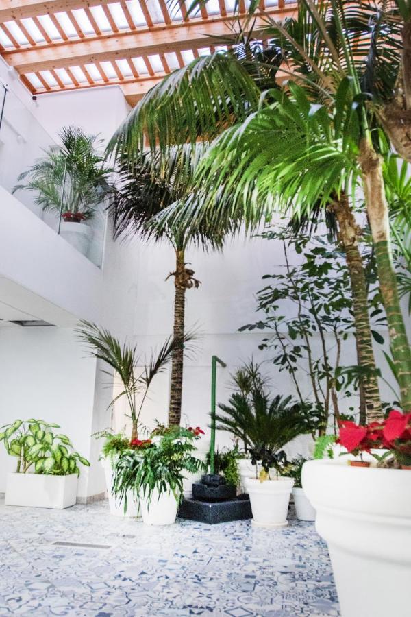 Coccoloba Suites קורלחו מראה חיצוני תמונה